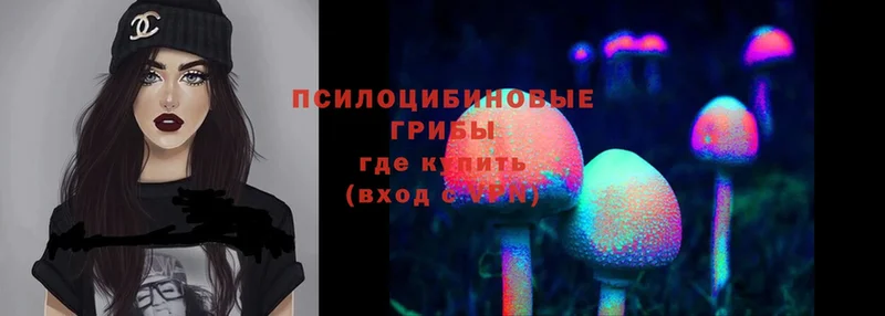 Псилоцибиновые грибы Magic Shrooms  Белгород 